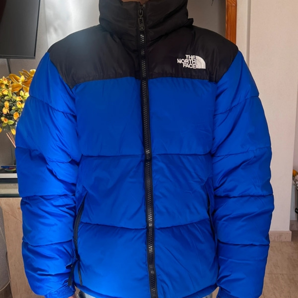 The north face 700 puffer jacket